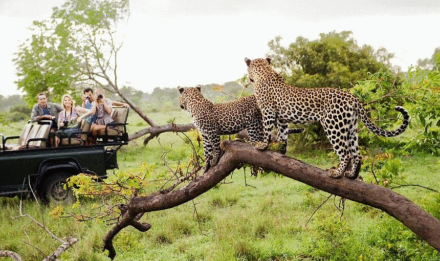 The Best Things to Do and See in Down South of Sri Lanka